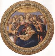 Sandro Botticelli Madonna and child with six Angels or Madonna of the Pomegranate oil